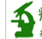 病理学园地